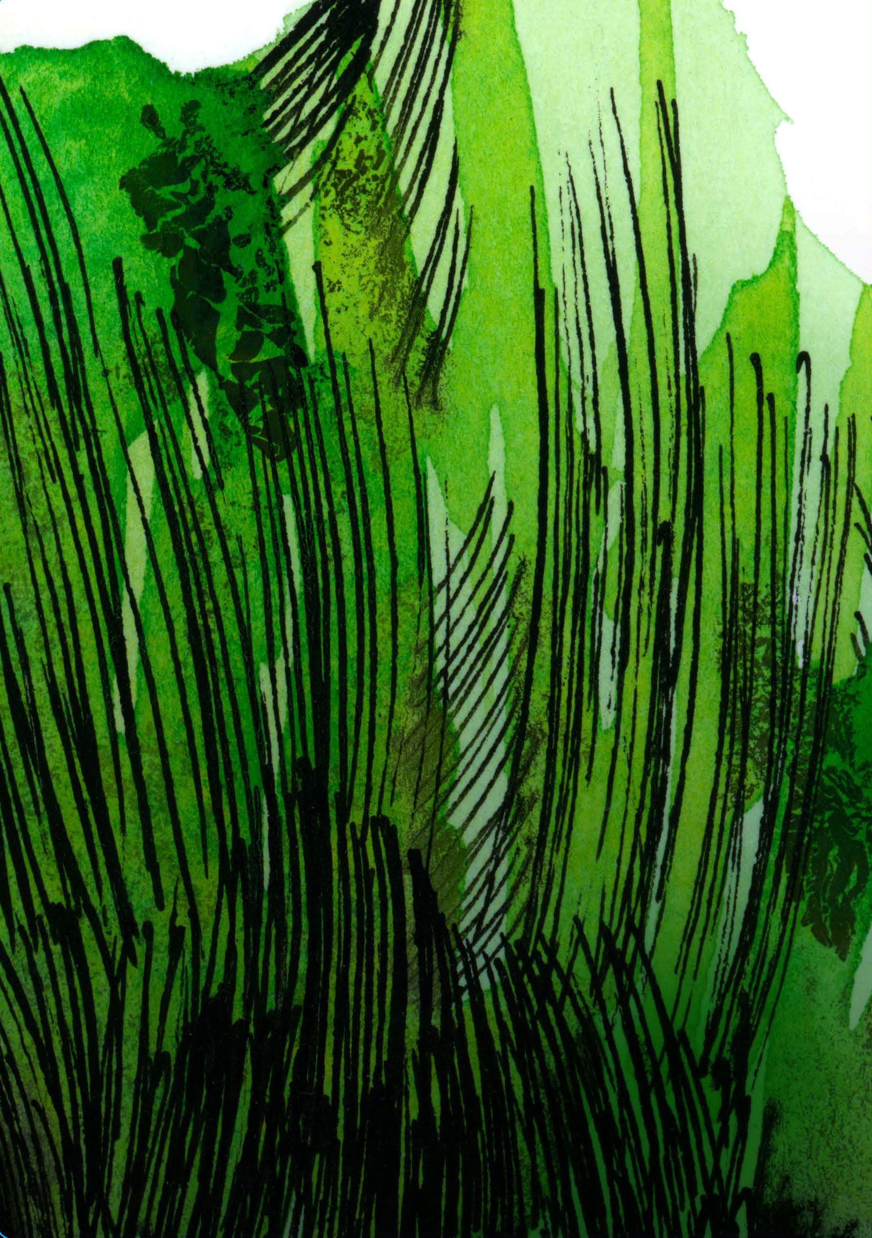 Marimekko Notebook Collection (Saapaivakirja/Weather Diary): (Blank Journal Featuring Scandinavian Design, Colorful Lifestyle Floral Stationery Collection) - Image 7